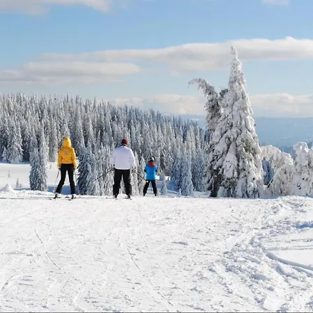 Apartment костадинов 1 Pamporovo