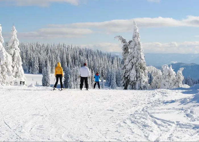 Apartment костадинов 1 Pamporovo