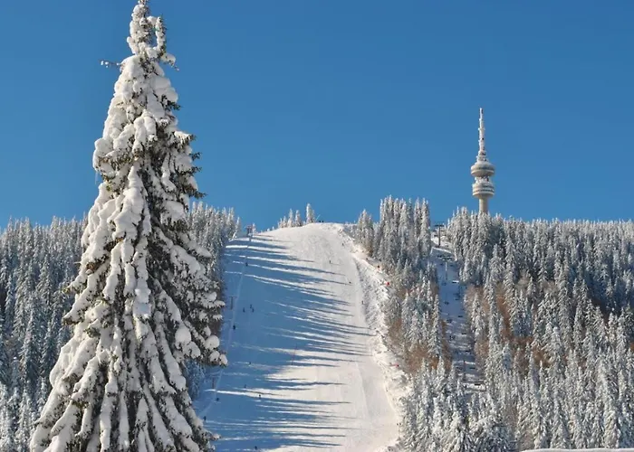 Apartment костадинов 1 Pamporovo